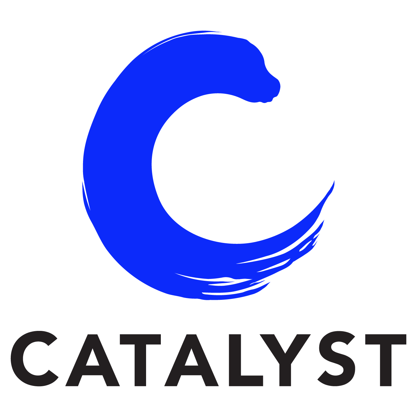 Indo-Asian News Service-DXP CATALYST CONSULTING: SETTING THE STANDARD IN  DIGITAL EXPERIENCE PLATFORM ADVISORY SERVICES