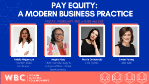 pay equity webinar 1