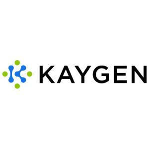 Kaygen